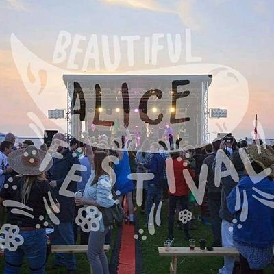 A charity festival in memory of beautiful Alice Barnett. June 3rd - St Albans (Hertfordshire). Good Times, Good People, Good cause.
