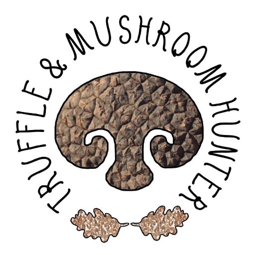 I offer Truffle Hunts and Fungi Forays in Sussex UK. Wild Food Catering, Dog Training, Sustainable Woodland Management for the Harvest of Truffle.
