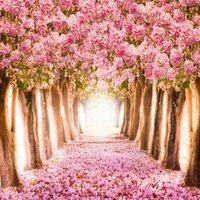 Sadeya Callaghan (@sadeyacallaghan) 's Twitter Profile Photo Sadeya Callaghan (@sadeyacallaghan) 's Twitter Profile Photo