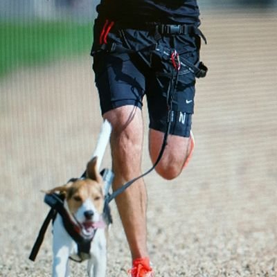 I would rather be running with William......because six legs are better than 2!

Healthier. Happier. Together!