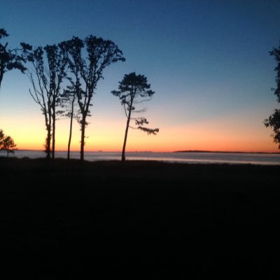 arne_as's profile picture. 