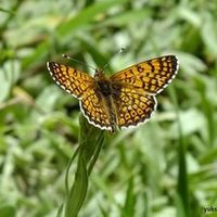 Yüksel Aki (@yukselaki13) Twitter profile photo