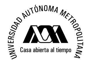 Universidad Autonoma Metropolitana