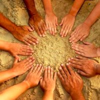IndivisibleBradenton (@indivisible_brd) 's Twitter Profile