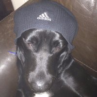 Wafty Crank (@waftycrank) 's Twitter Profile Photo