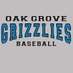 OGHS Baseball (@baseballoghs) Twitter profile photo OGHS Baseball (@baseballoghs) Twitter profile photo