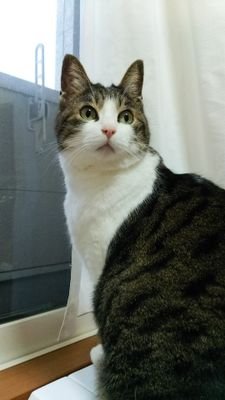 winchanmama2's profile picture. 