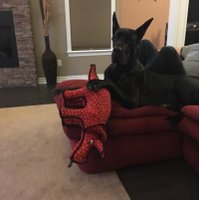Lynn Benson (@lynnbenson28) 's Twitter Profile