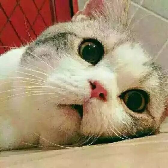 sdnyle's profile picture. 