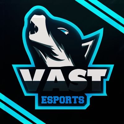 Multi Platform Professional eSports Organization | Powered By : @insanelabz @fatalgrips @EwinRacing @CinchGaming @GamerGoo | @Vast_OLT | #BeVast