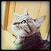 taca oqn (@kanadexvc) Twitter profile photo taca oqn (@kanadexvc) Twitter profile photo