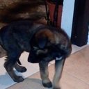 Emmanuel Dominguez - @emmanueldomper - Twitter