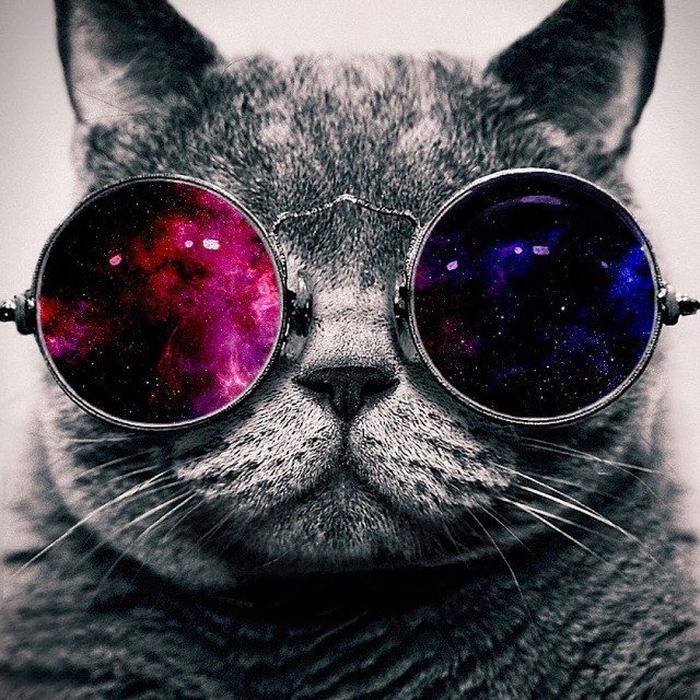 AQuantumofStars's profile picture. Alleged PhD student studying astrophysics at the University of Auckland. Trying to #MakeAstrophysicsGreatForever