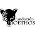 Fundación Bioethos Profile picture