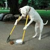 man_fifth's profile picture. Giants fan, Loch Ness Monster enthusiast,  Flood Nerd and Mustard Coniseur