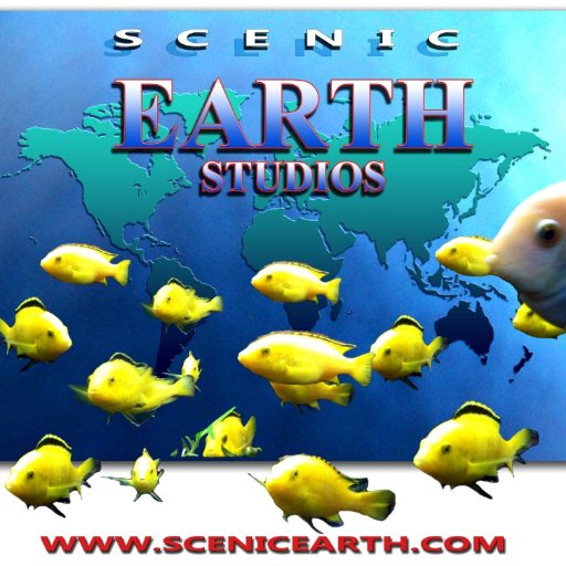 ScenicEarth Profile Picture