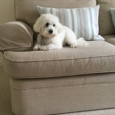 Livilily's profile picture. 