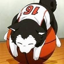 junpei_shoichi's profile picture. 黒バスLOVEです！よろしくお願いします♪（ちなみにR18可です笑）