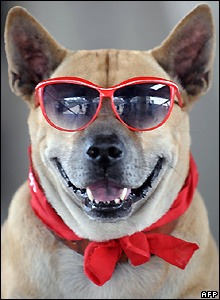 theresabertrand's profile picture. good food, good wine, good life. Cohn & Wolfe PR. Views are my own.