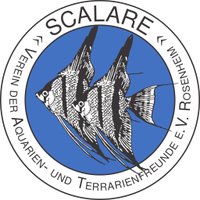 Scalare e.V. (@scalare_ro) 's Twitter Profile