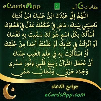 BlVLfLPHpV0aWYL's profile picture. 