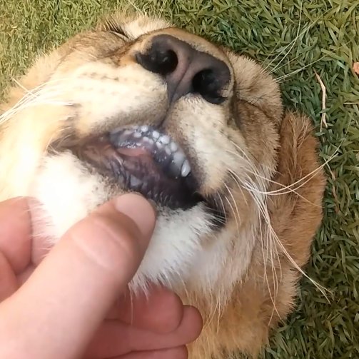 Boxit691's profile picture. 