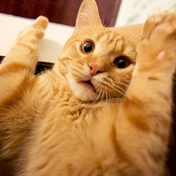 ClySuva's profile picture. 