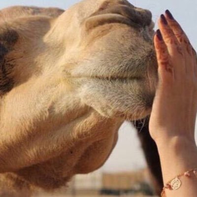 Soooyra's profile picture. 