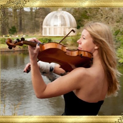 CAVEviolin Profile Picture