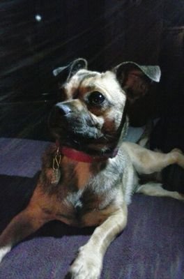 DawnW17352400's profile picture. 