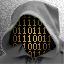 Security Consultant