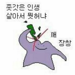 Closers3_CPP's profile picture. 통수의 통수와 배신의 서막