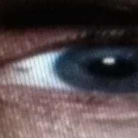 HansBermeu's profile picture. Cansado de tantas barreras.