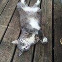 Ann Tabor - @atabor58 - Twitter