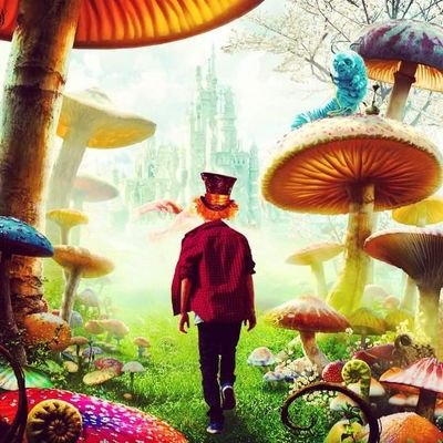 molnarnoah's profile picture. 