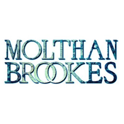 Michael Molthan President- CEO of Molthan Brookes Luxury Builders, M2 Social Media Solutions, and M2 TV