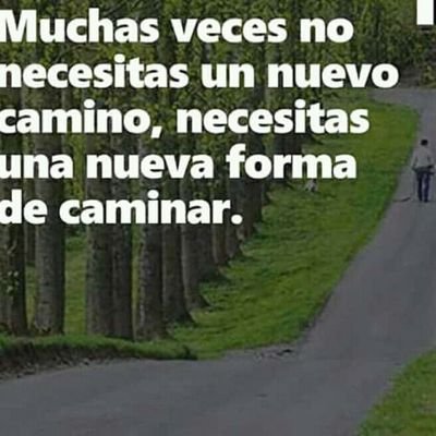 alfsanjicho's profile picture. 