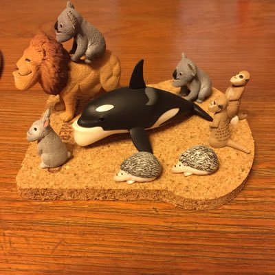 b0sflc7oI1RMONS's profile picture. 足立佳奈大好き！いつでも、応援してます！ サッカーやってる！