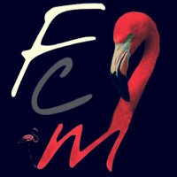Flamenco Canal Music (@flamencocanal) 's Twitter Profile