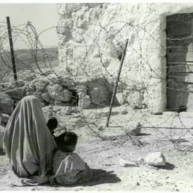 أبو بلبل زعيم تويتر