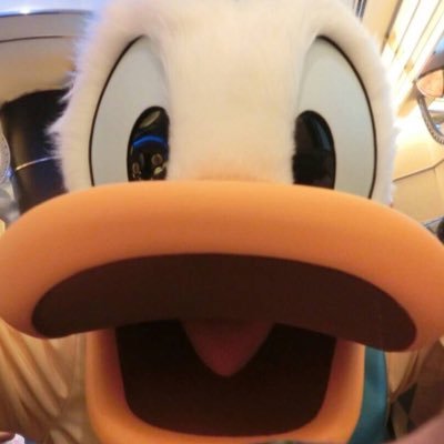 れむれむ Remuremupapiko Twitter れむれむ Remuremupapiko Twitter