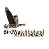 Birdwatch Meath(@BirdwatchMeath) 's Twitter Profileg