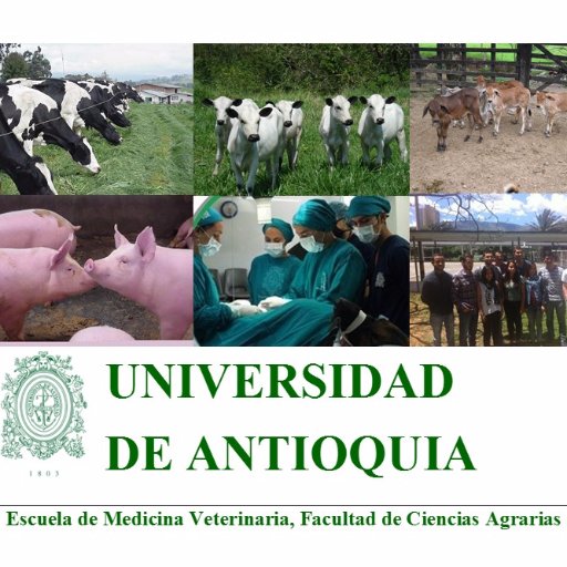 La EMV fue creada en 1962. Ofrece Medicina Veterinaria (Acred. Alta Calidad @Mineducacion 2001-2021) Maestría/Doctorado Ciencias Veterinarias; y Esp Med caninos