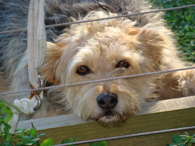 Robbos's profile picture. A person that quickly signs up for new technology and often never uses it. Life's too short