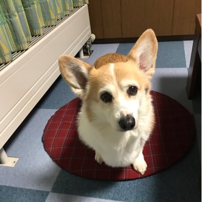 kttmyk411's profile picture. 