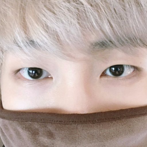Kim_foxeyes's profile picture. Esta conta é resultado de falta do que fazer e vontade de venerar os olhos Kim Namjoon, por favor sinta-se à vontade para olhar.