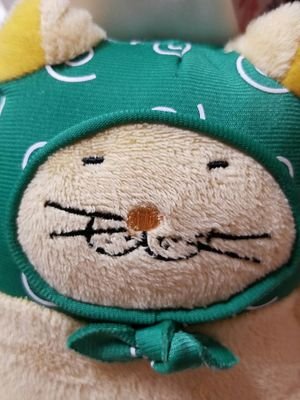 黒猫兄弟5匹保護しましたฅ^•ω•^ฅ
犬も好きだけ猫派、skジャパンのでぶねこ大好き、艦これ好き、基本ゆるくて可愛いのは何でも好き(≡・x・≡)仲良くしてね∩(・ω・)∩