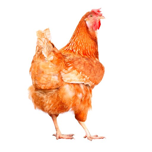 Campaigns account for Mercy For Animals. Join the Hen Heroes team and support our work! https://t.co/SqEXNHo8RZ