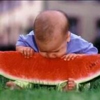 گل گل (@golgolm) 's Twitter Profile