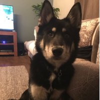 Rob Davis (@rob__davis) 's Twitter Profile